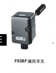 F63Һλ_(ki)P(gun)